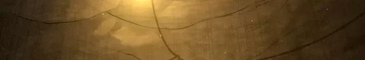 Sát Thủ Peter chương 89.5 - trang 54
