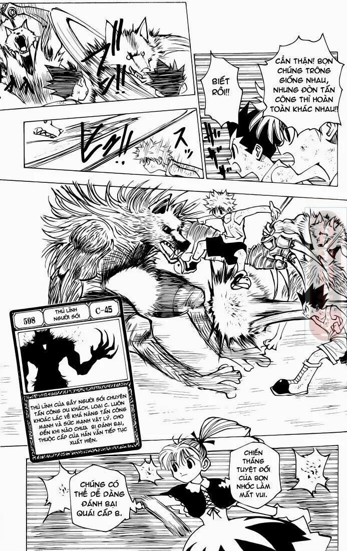 Hunter X Hunter chương 146 - trang 9