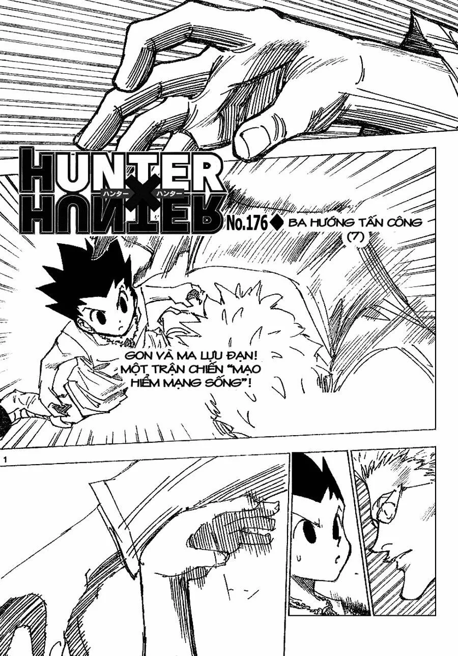 Hunter X Hunter chương 176 - trang 1