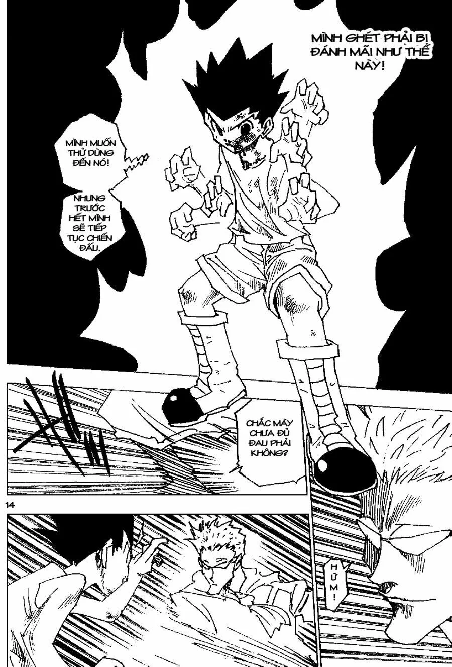 Hunter X Hunter chương 176 - trang 14