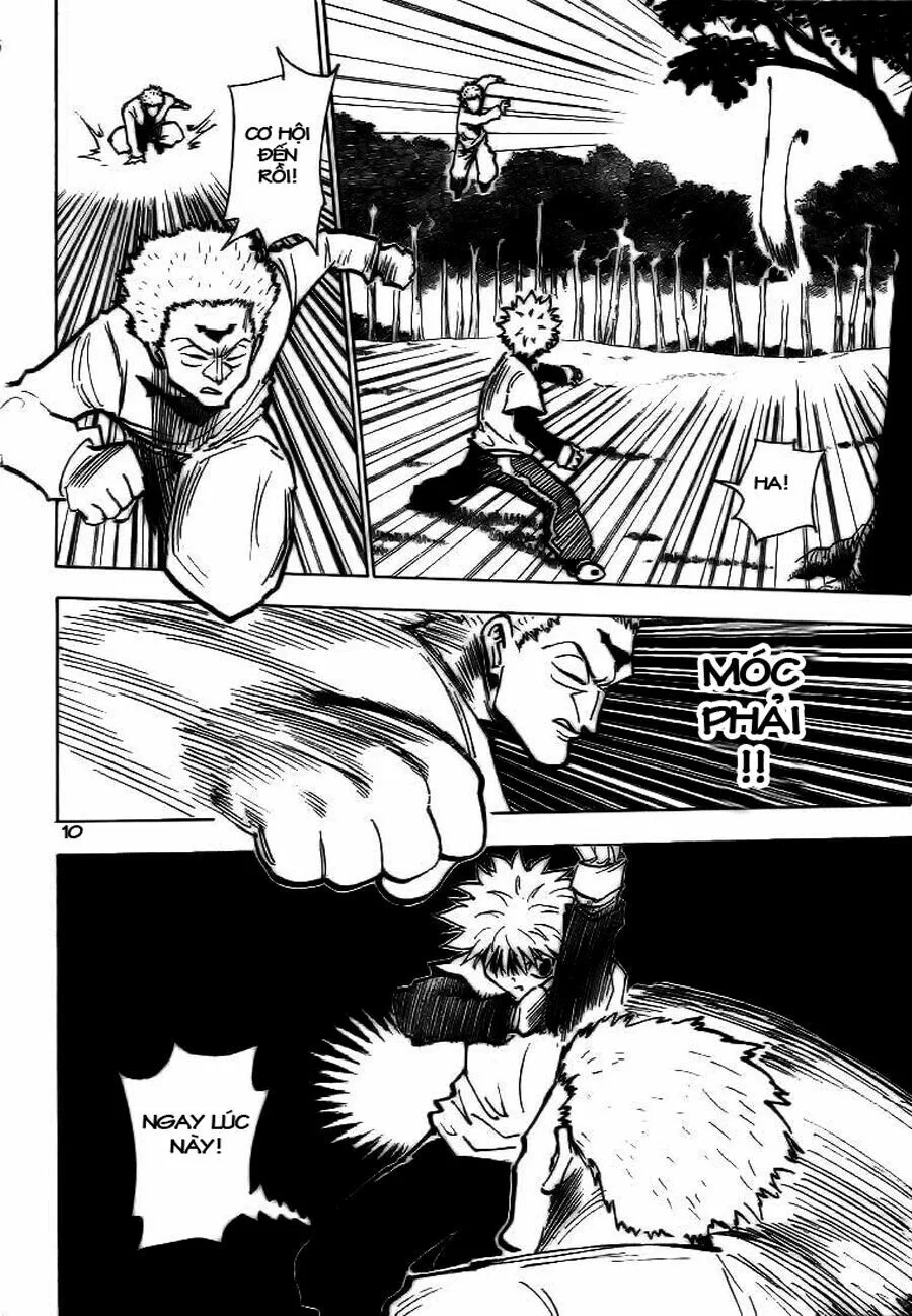 Hunter X Hunter chương 178 - trang 10