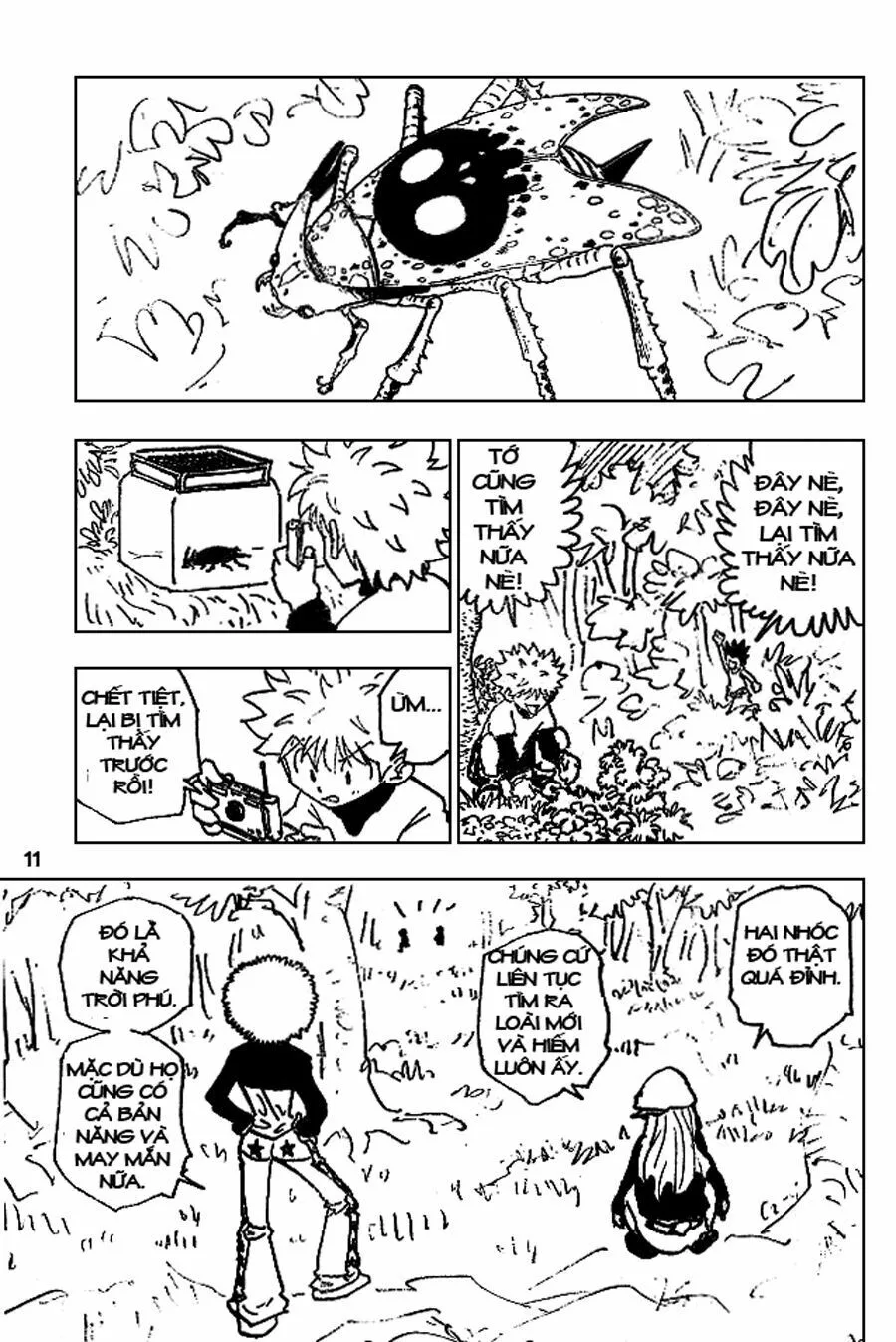 Hunter X Hunter chương 186 - trang 11