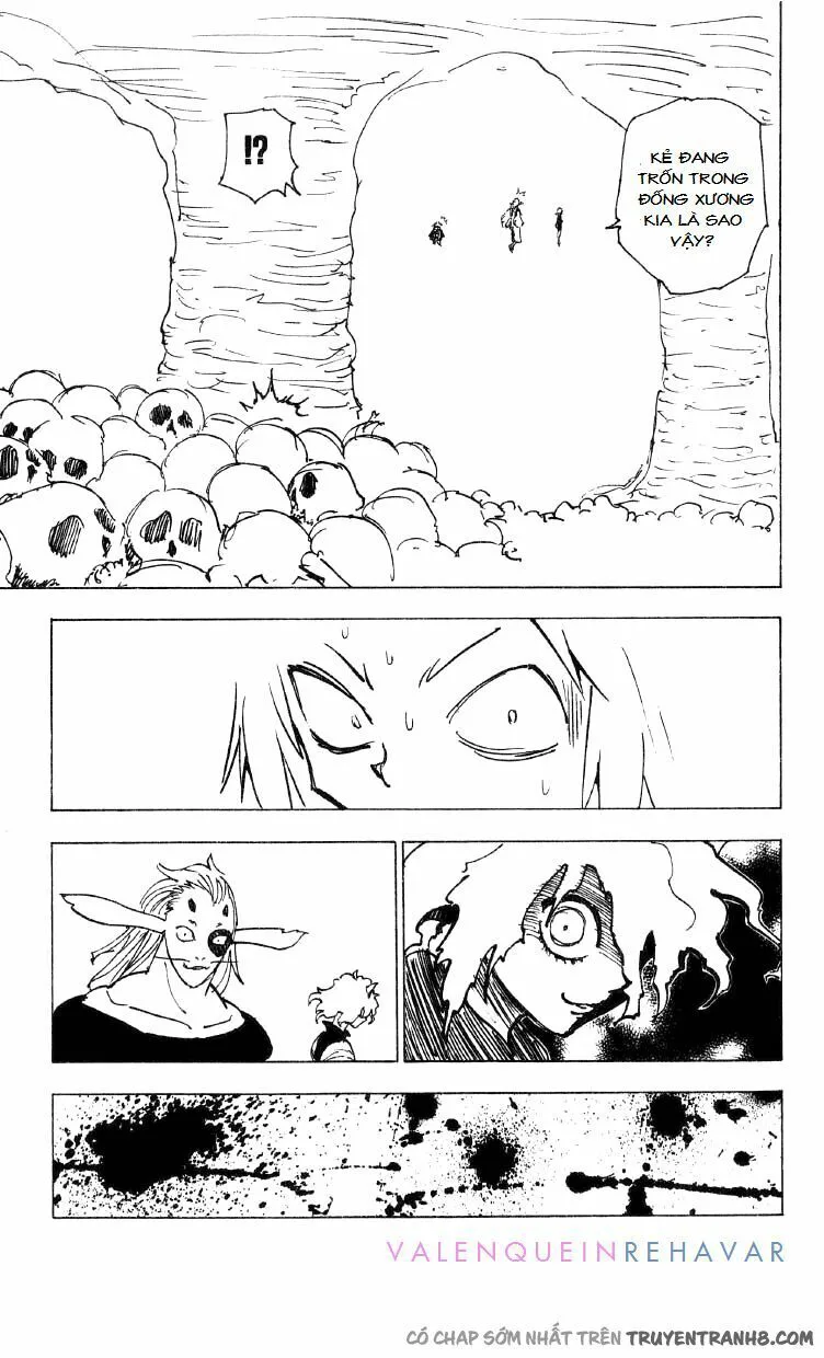 Hunter X Hunter chương 197 - trang 12