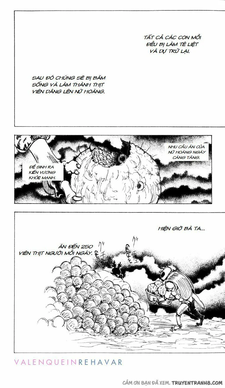 Hunter X Hunter chương 197 - trang 13