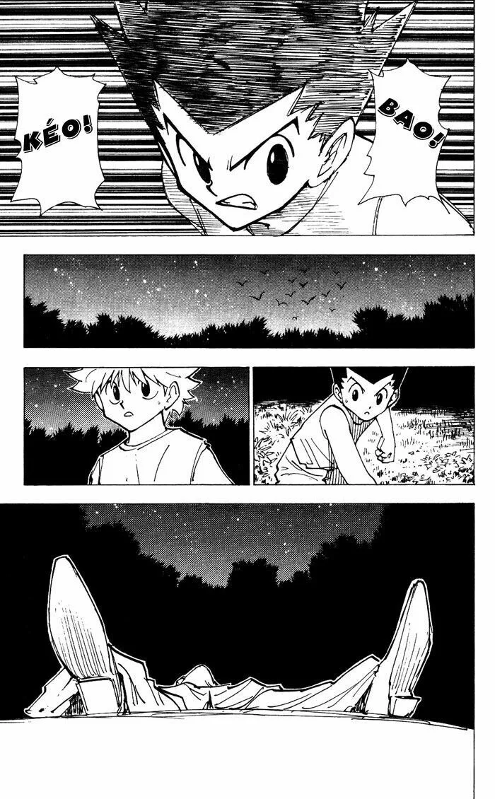 Hunter X Hunter chương 203 - trang 9