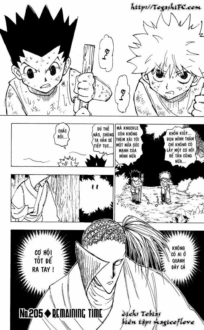 Hunter X Hunter chương 205 - trang 2