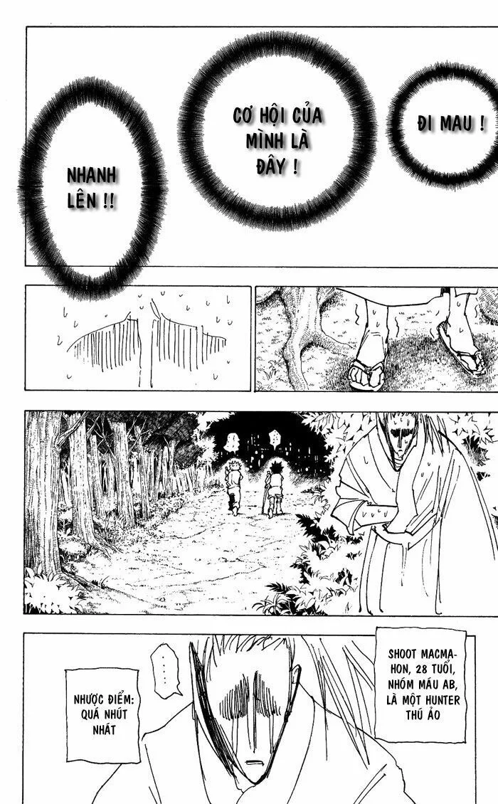 Hunter X Hunter chương 205 - trang 4