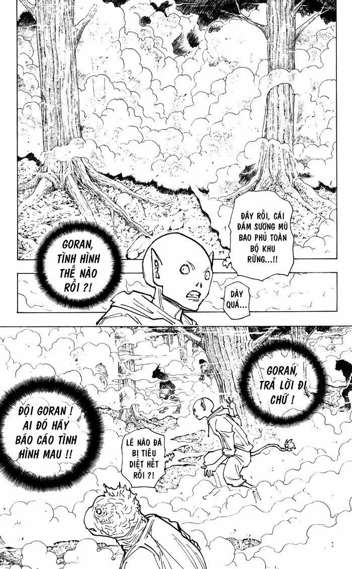 Hunter X Hunter chương 205 - trang 12
