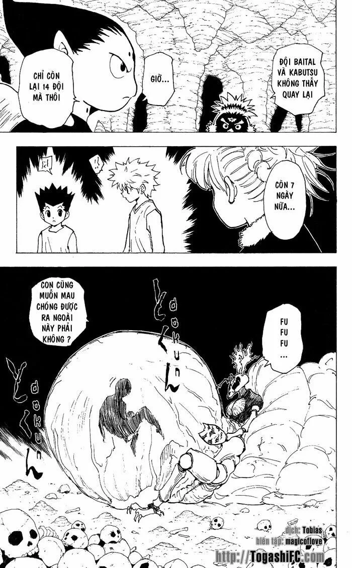 Hunter X Hunter chương 205 - trang 16