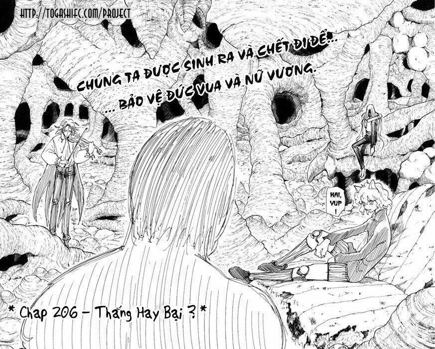 Hunter X Hunter chương 206 - trang 5