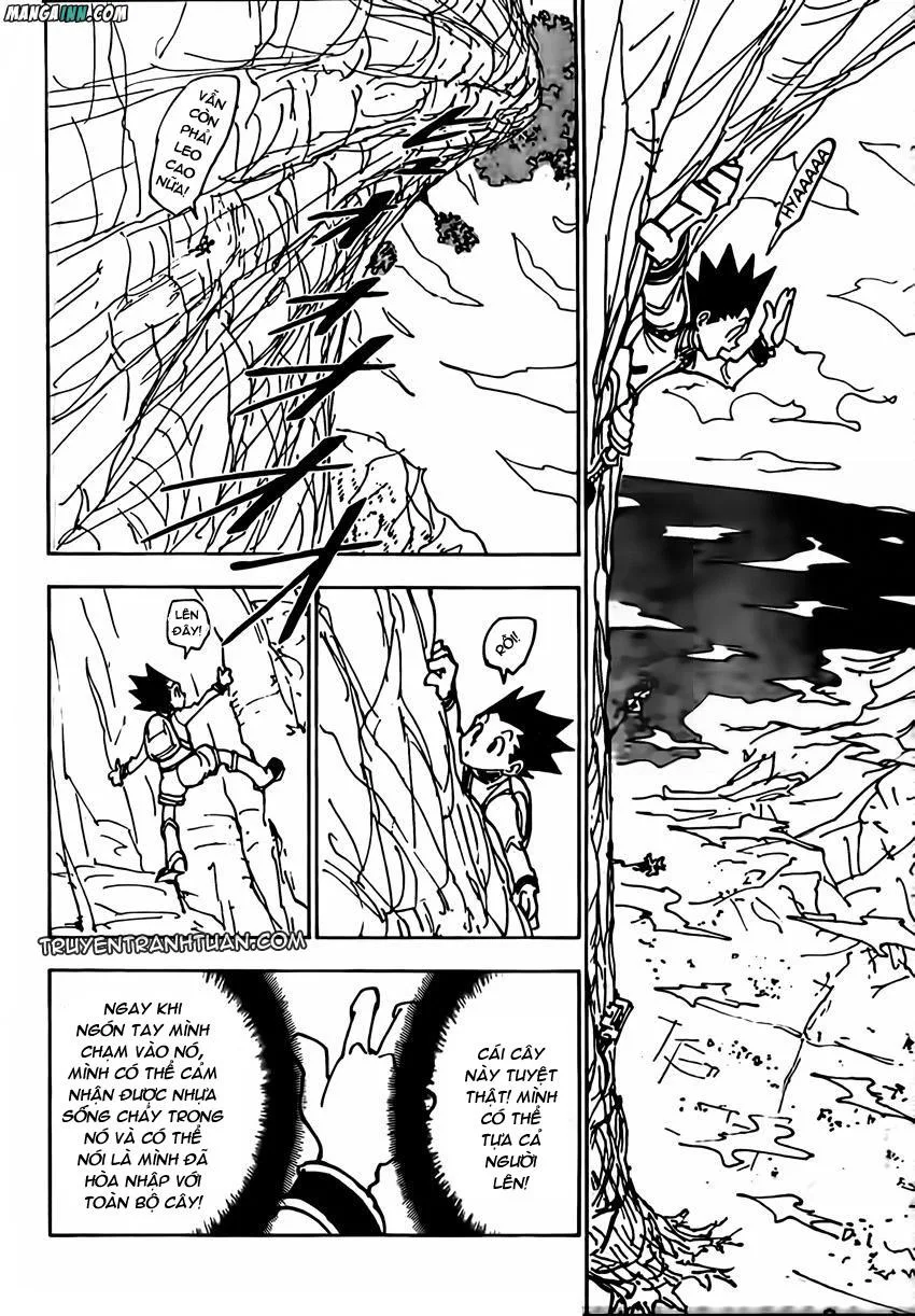 Hunter X Hunter chương 228 - trang 8