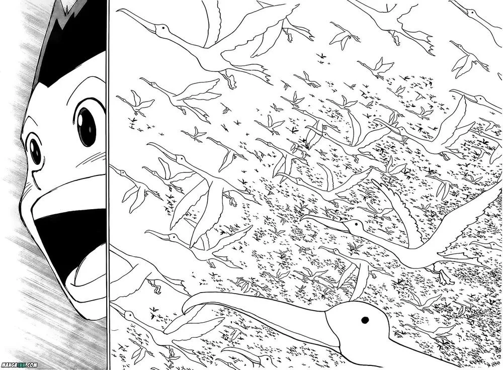 Hunter X Hunter chương 229 - trang 8