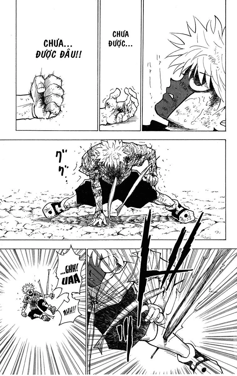Hunter X Hunter chương 240 - trang 4
