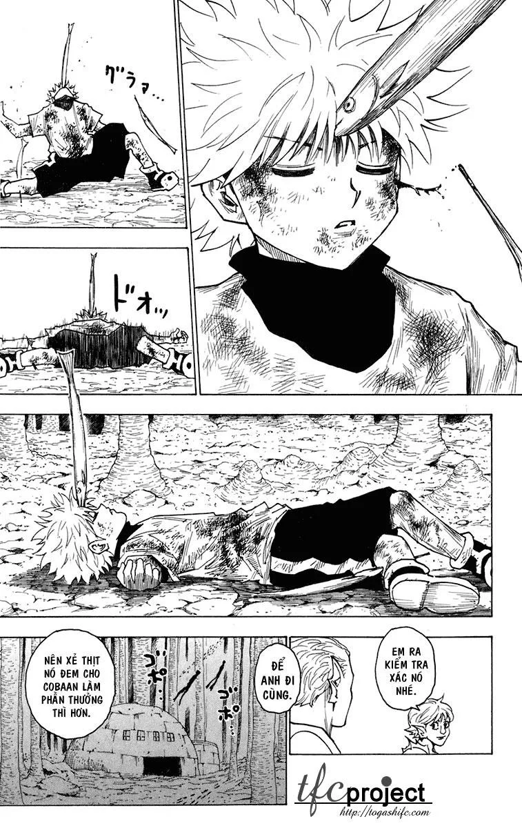 Hunter X Hunter chương 240 - trang 9