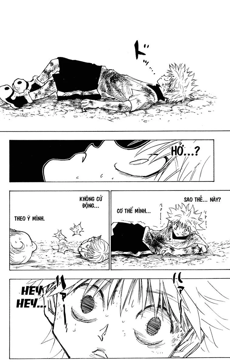 Hunter X Hunter chương 241 - trang 3
