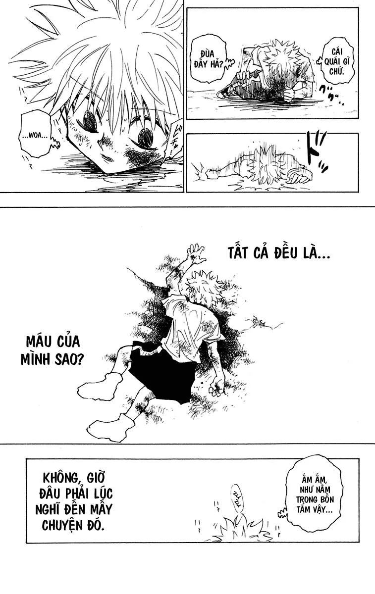 Hunter X Hunter chương 241 - trang 4