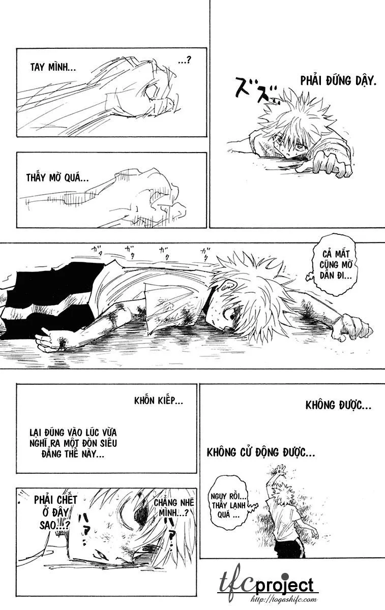 Hunter X Hunter chương 241 - trang 5