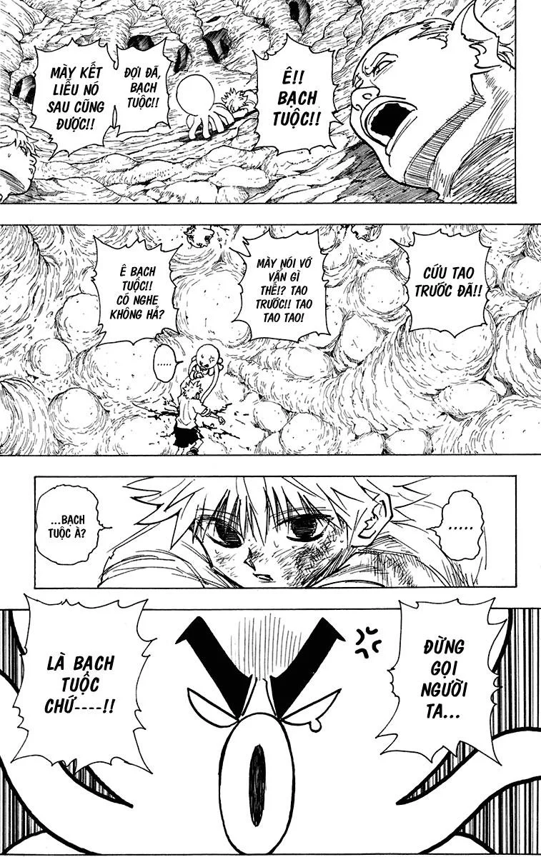 Hunter X Hunter chương 241 - trang 8