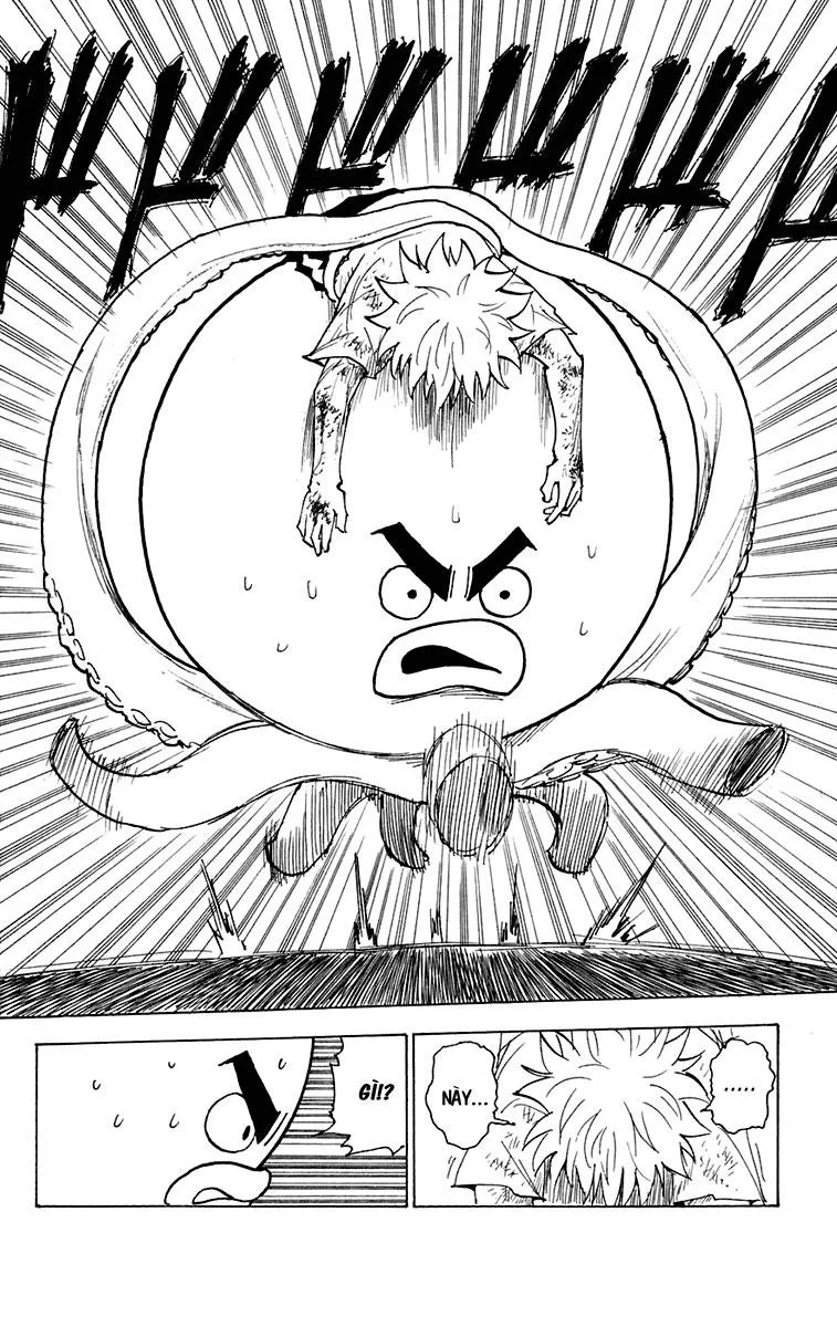 Hunter X Hunter chương 241 - trang 9