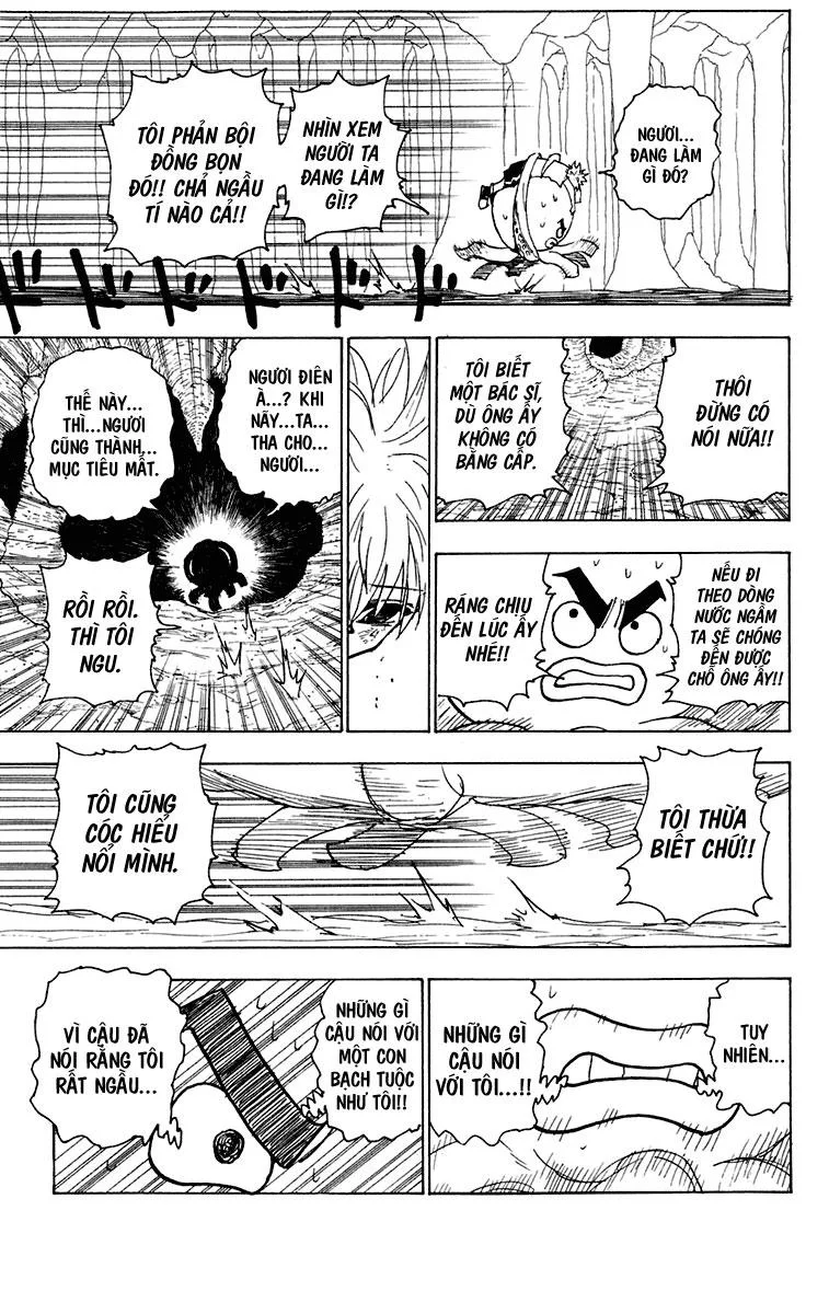 Hunter X Hunter chương 241 - trang 10