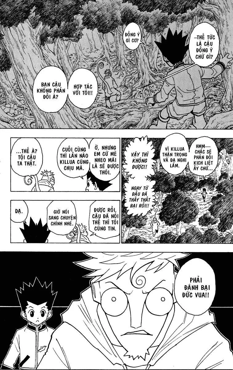 Hunter X Hunter chương 242 - trang 11