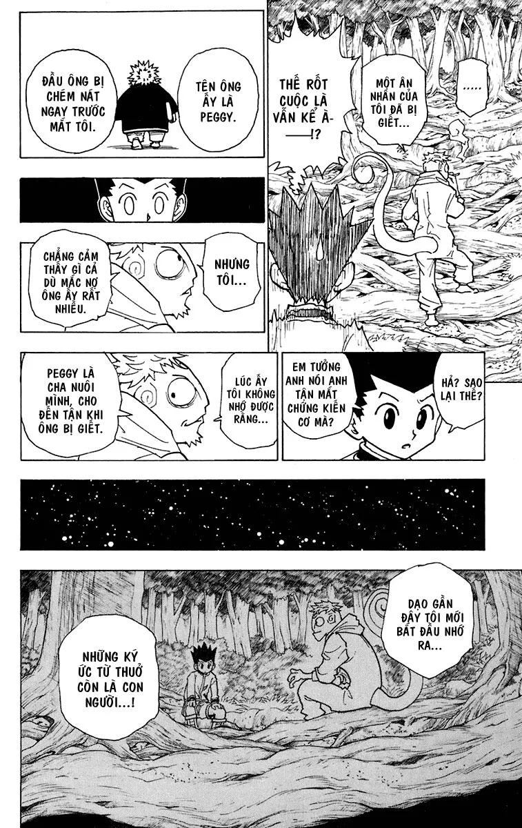 Hunter X Hunter chương 242 - trang 13