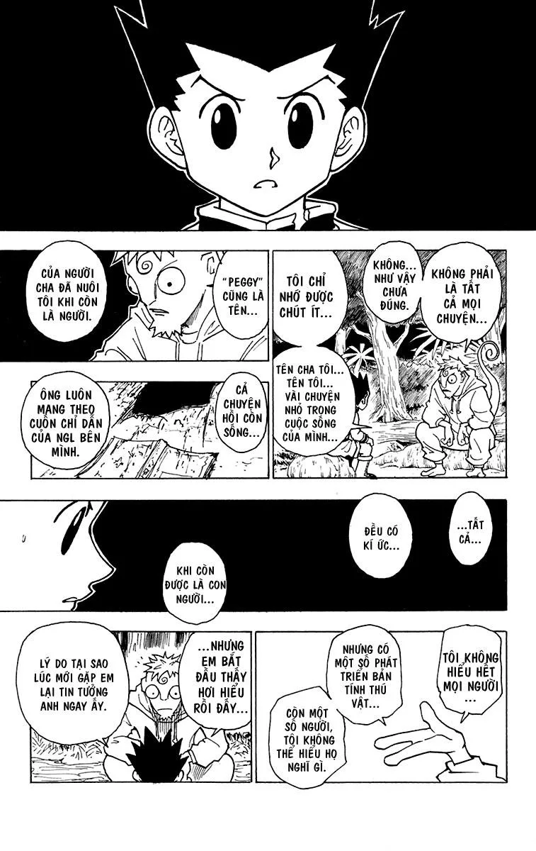 Hunter X Hunter chương 242 - trang 14