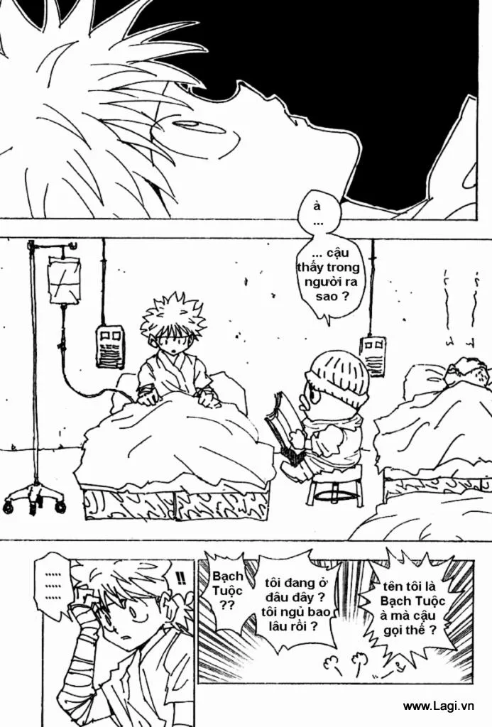 Hunter X Hunter chương 255 - trang 1