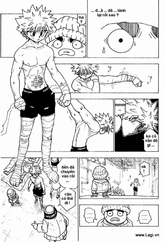 Hunter X Hunter chương 255 - trang 5