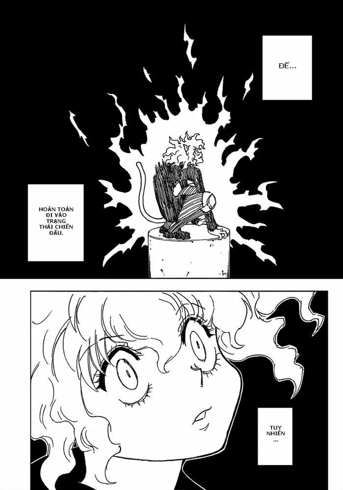 Hunter X Hunter chương 263 - trang 14