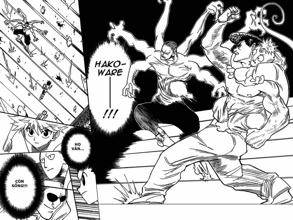 Hunter X Hunter chương 266 - trang 15