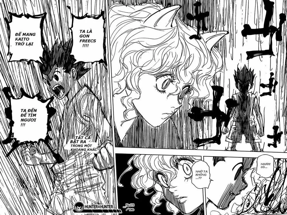 Hunter X Hunter chương 273 - trang 18