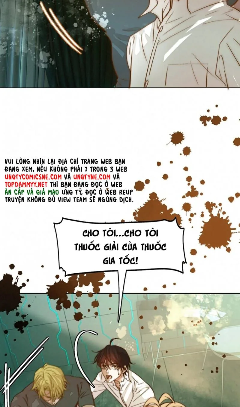 Tuyệt Xử Phùng Sinh chương 124 - trang 23