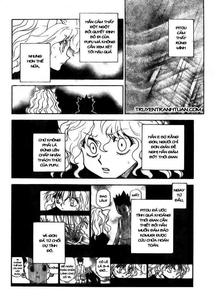 Hunter X Hunter chương 295 - trang 11