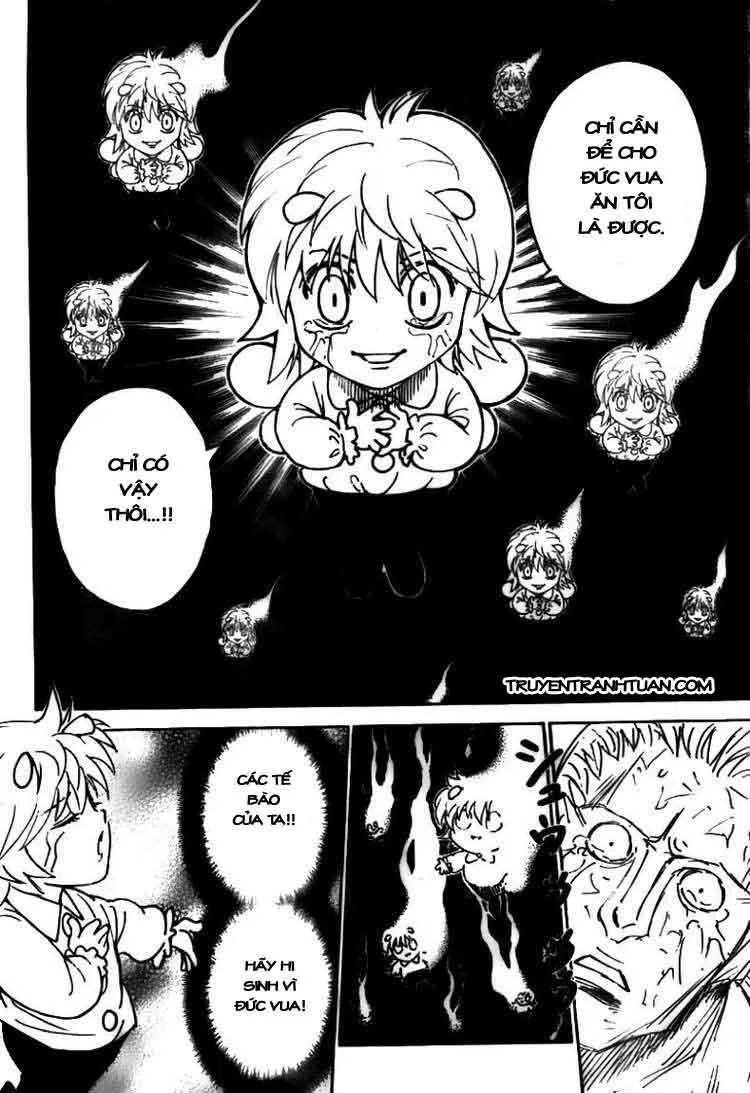 Hunter X Hunter chương 299 - trang 5