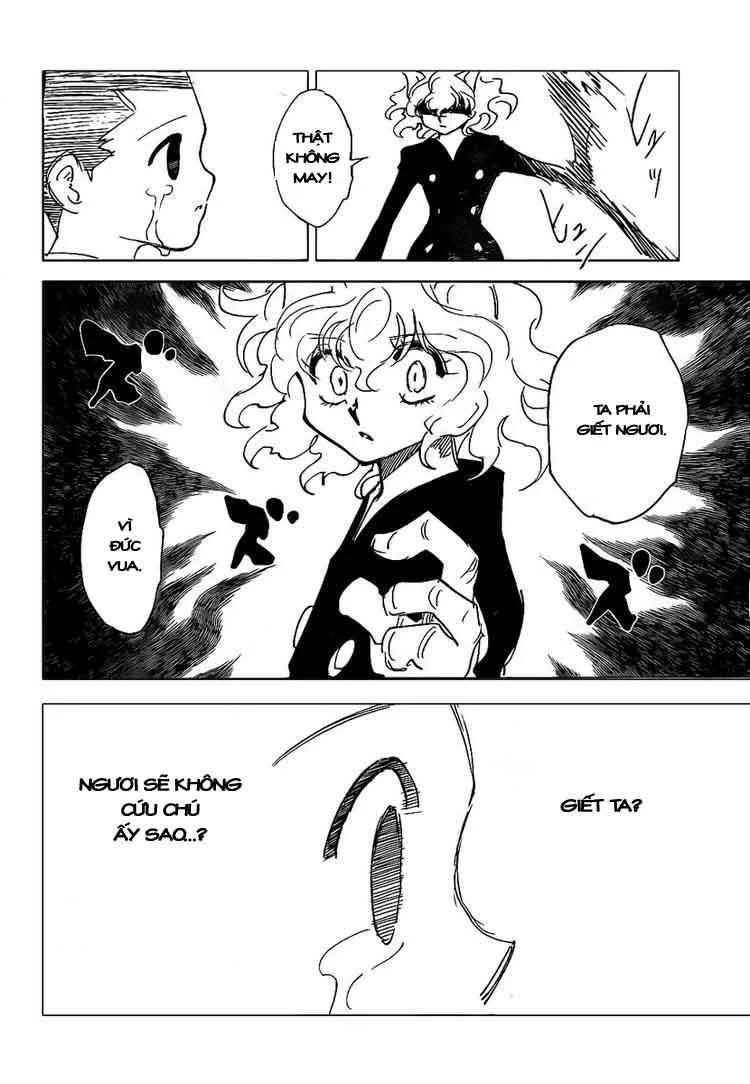 Hunter X Hunter chương 305 - trang 10