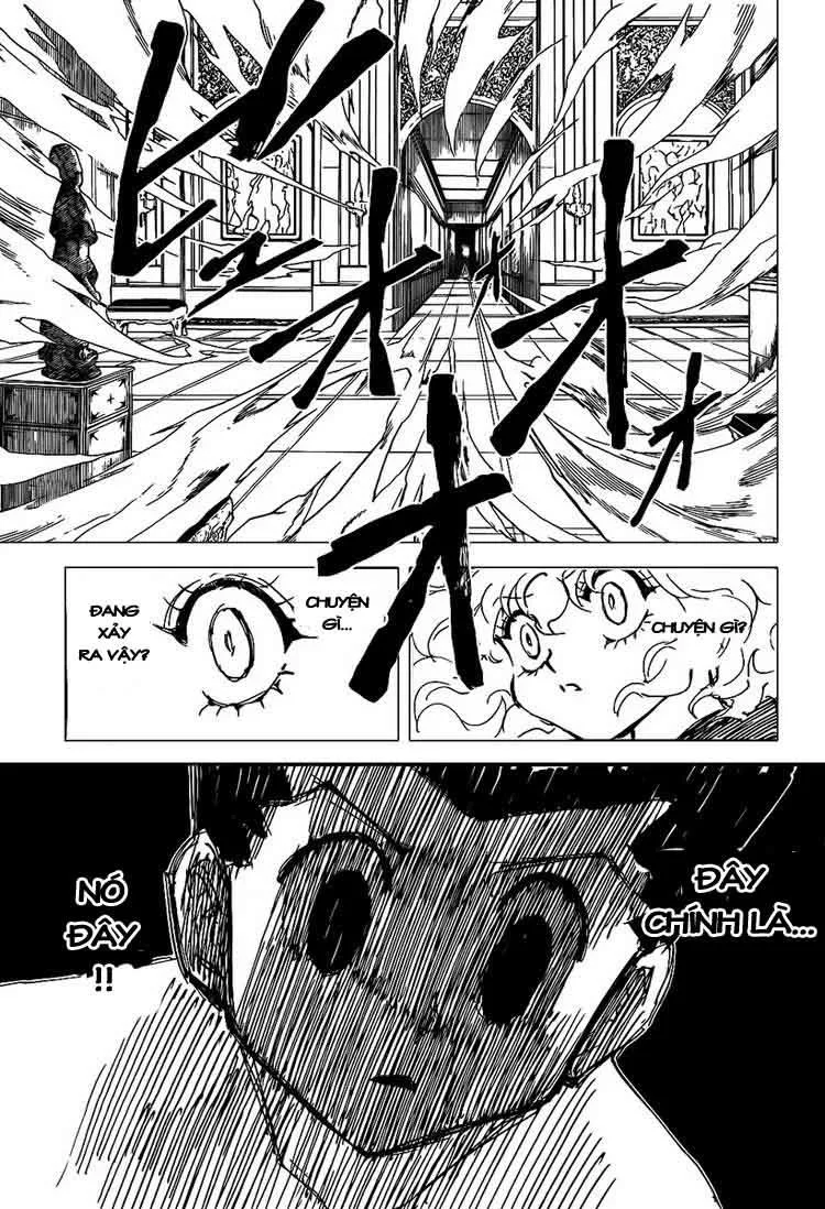 Hunter X Hunter chương 305 - trang 13
