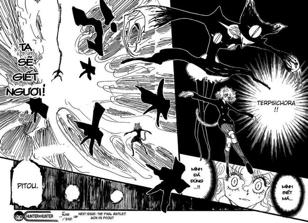 Hunter X Hunter chương 305 - trang 15