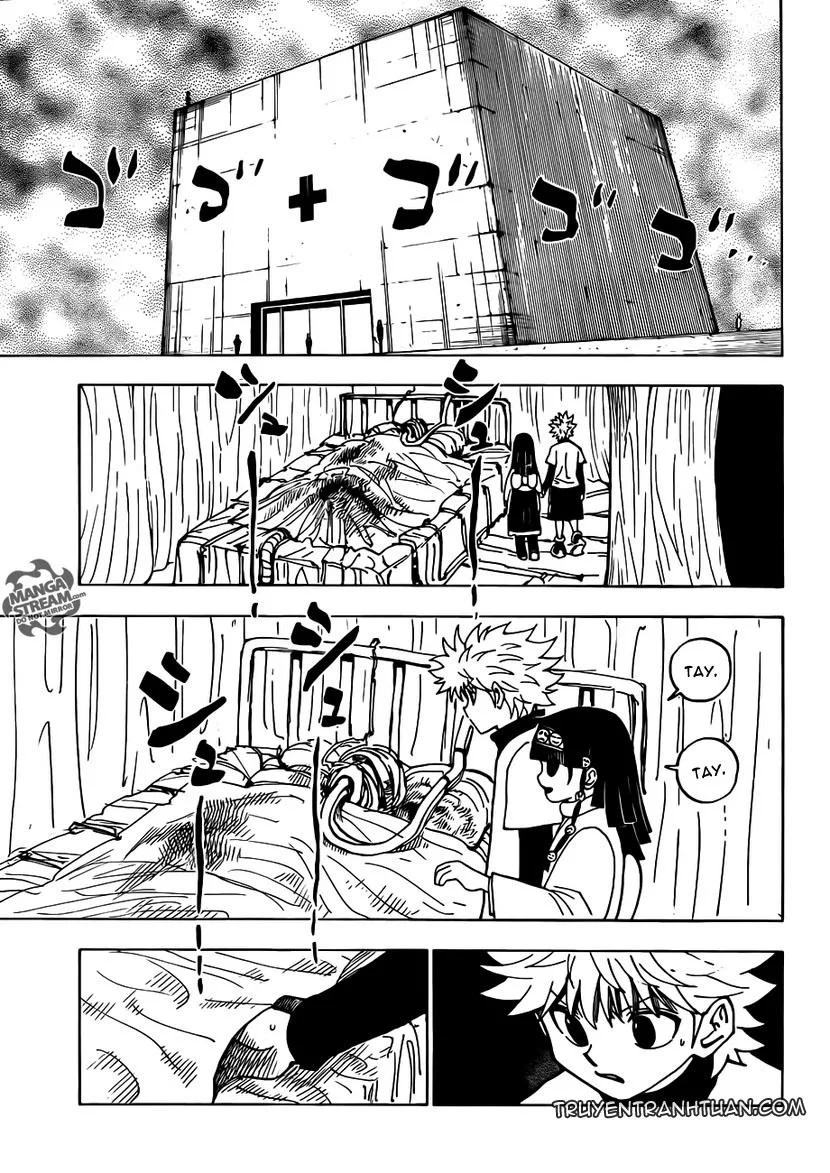 Hunter X Hunter chương 333 - trang 8