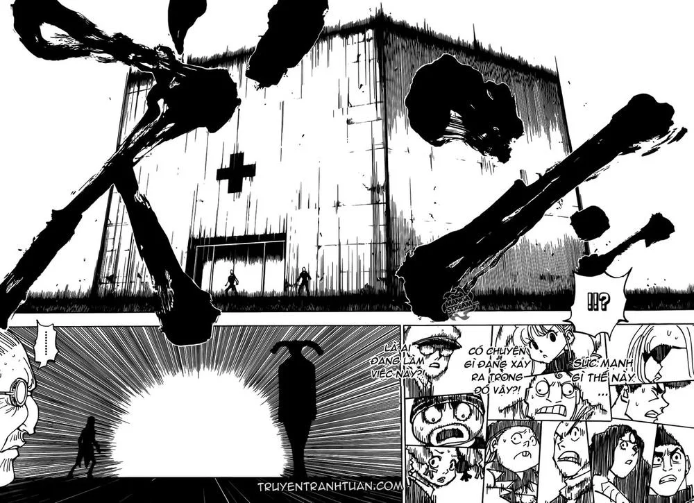 Hunter X Hunter chương 333 - trang 11