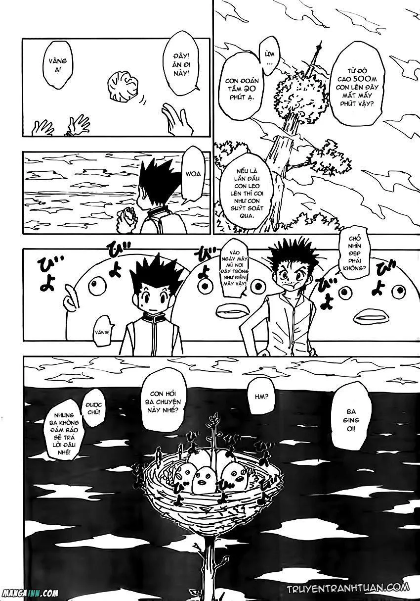 Hunter X Hunter chương 338 - trang 11