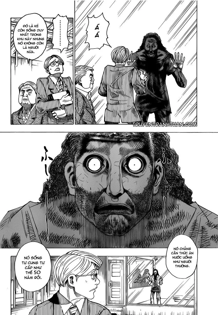 Hunter X Hunter chương 341 - trang 9
