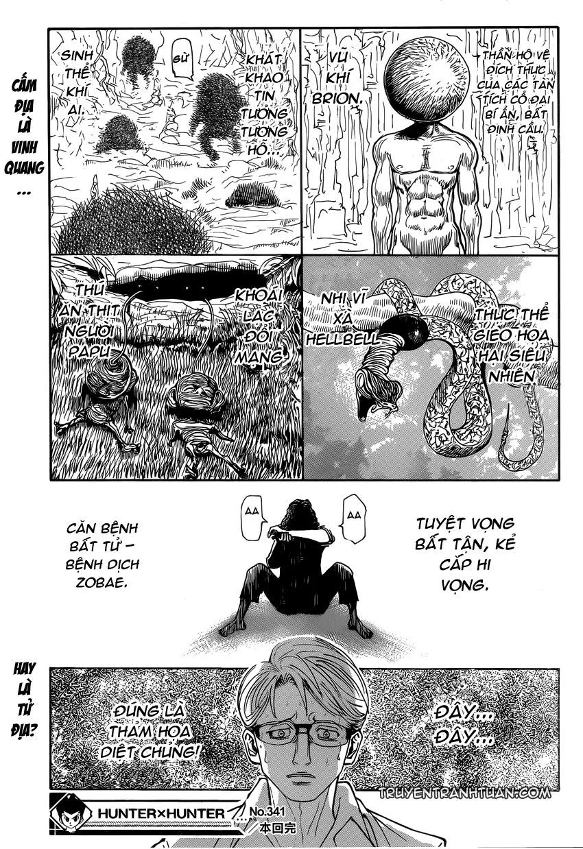 Hunter X Hunter chương 341 - trang 20