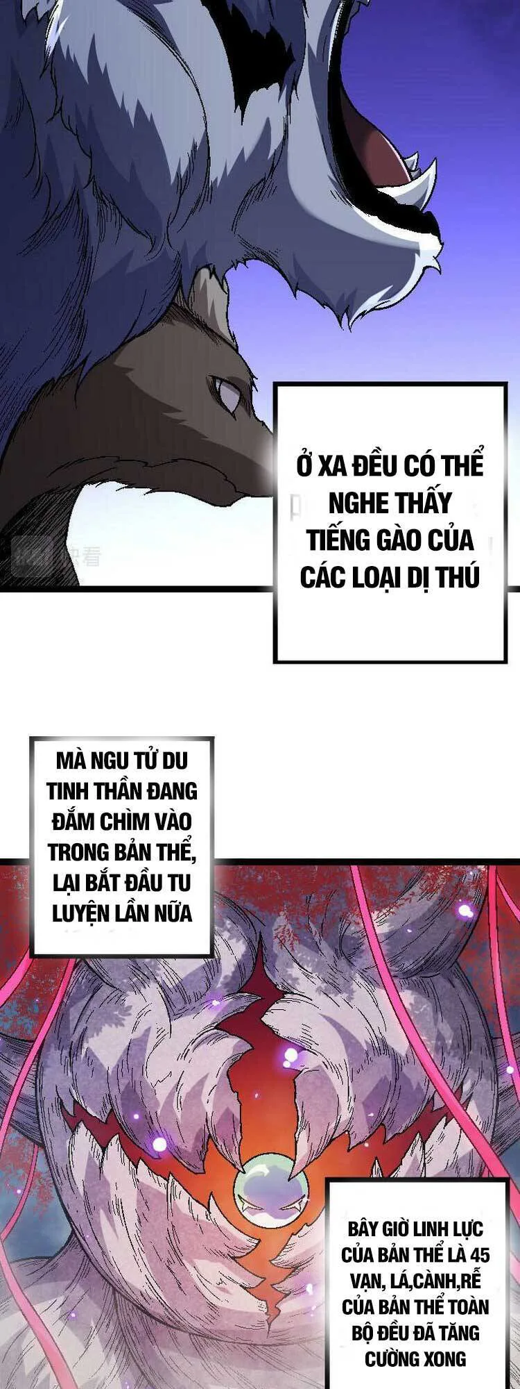 Chuyển Sinh Thành Liễu Đột Biến chương 45 - trang 16