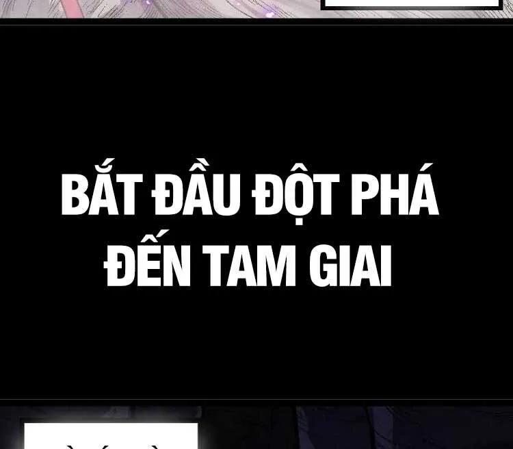 Chuyển Sinh Thành Liễu Đột Biến chương 45 - trang 17