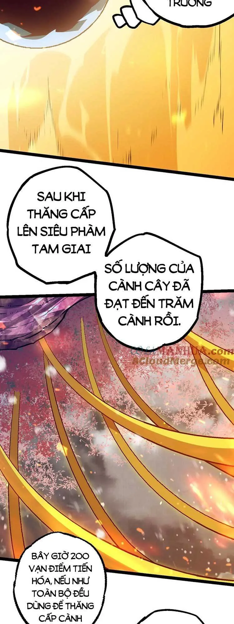 Chuyển Sinh Thành Liễu Đột Biến chương 80 - trang 16