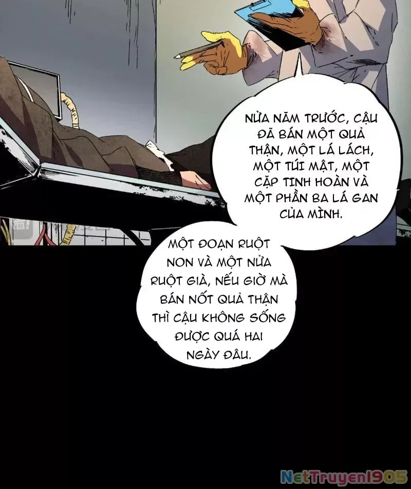 Cấm Chú Sư Mạnh Nhất Lịch Sử chương 0 - trang 6