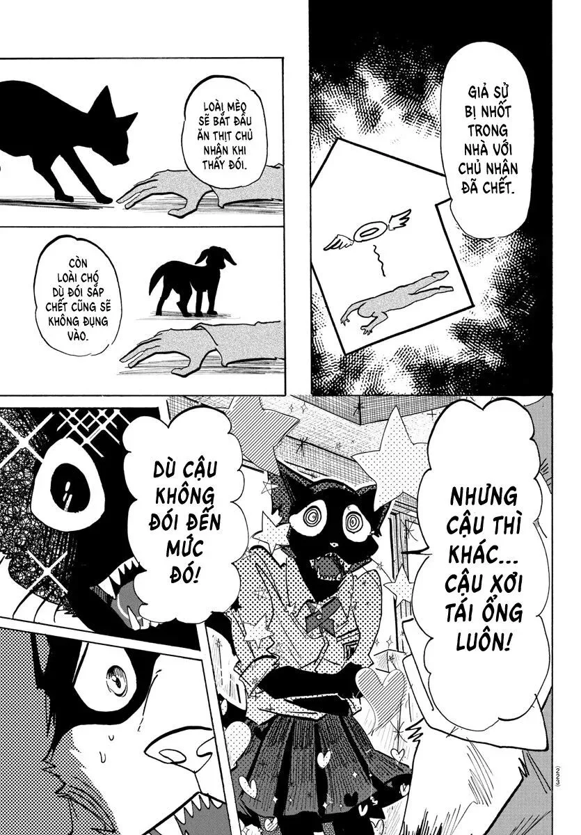 Lý Trí Của Taika chương 11 - trang 4