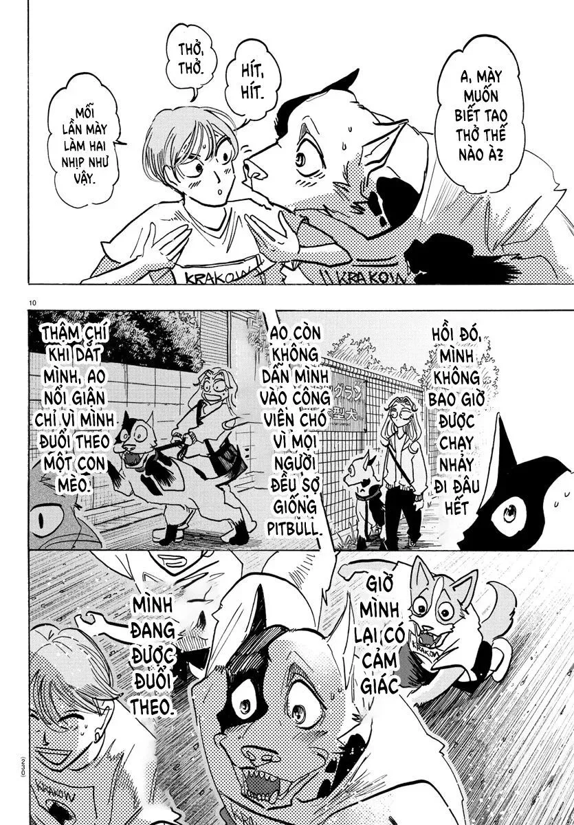 Lý Trí Của Taika chương 11 - trang 11