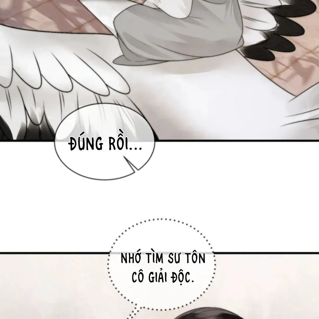 Nhập Hải chương 8 - trang 17